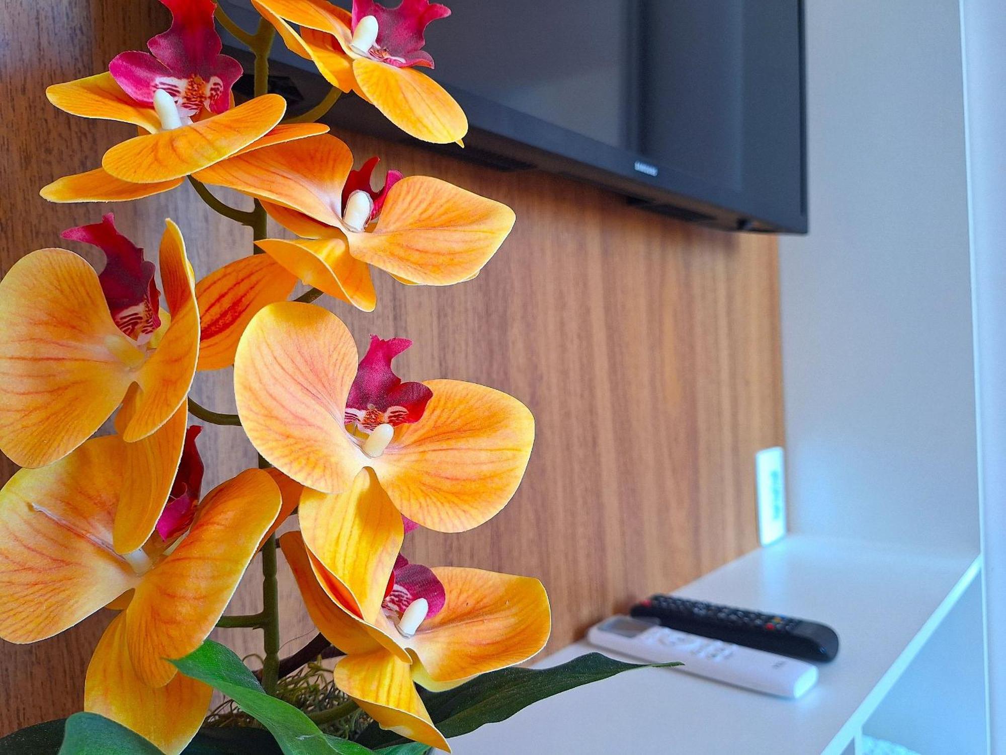 Porto Atlantis By Temporada Apartment *